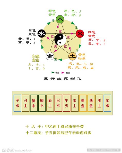 十二地支五行|天干地支五行对照表图 阴阳五行